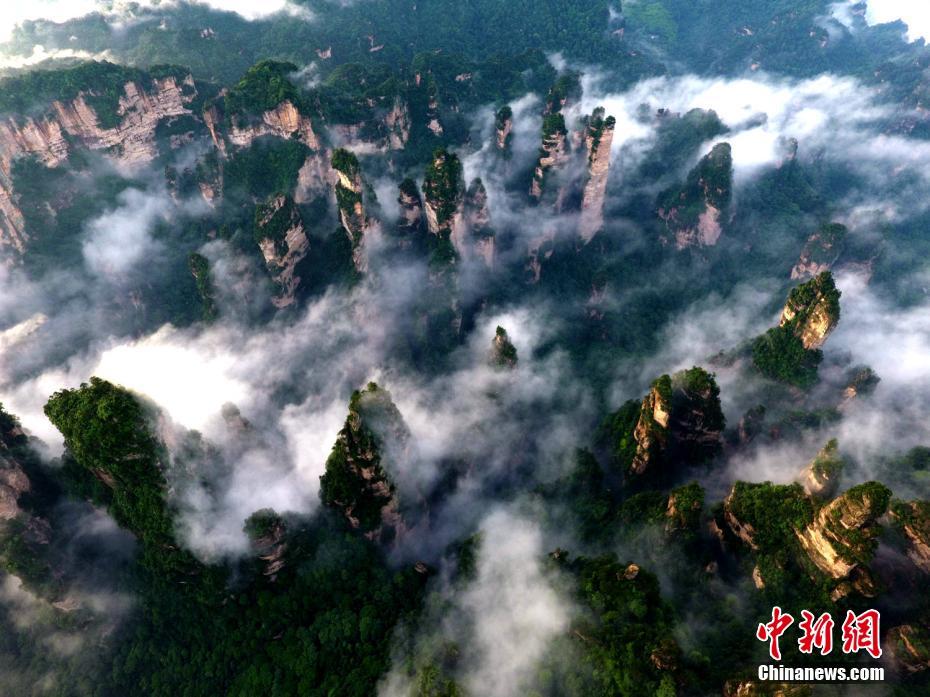 张家界黄石寨景区 雨过天晴云漫峰林