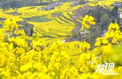 陕南宁强石羊栈百花开 五彩斑斓入画来