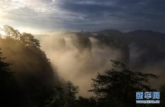 云海漫步峰林间