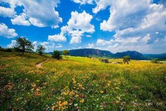 迎战西安高温天 你可以逃去这里避暑