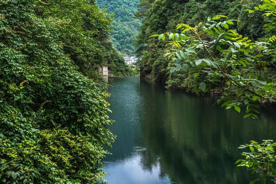 青山绿水
