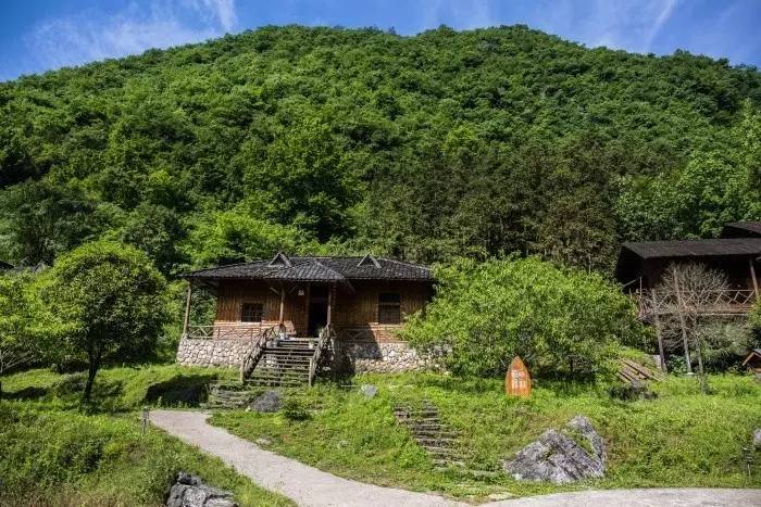 蓝天草地 山间树林