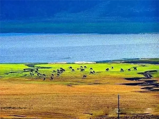 文海村