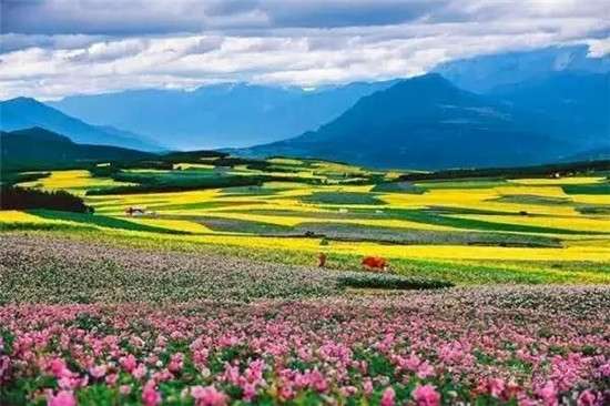 太安乡