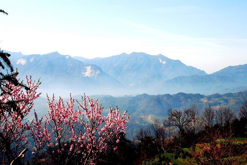 山花烂漫