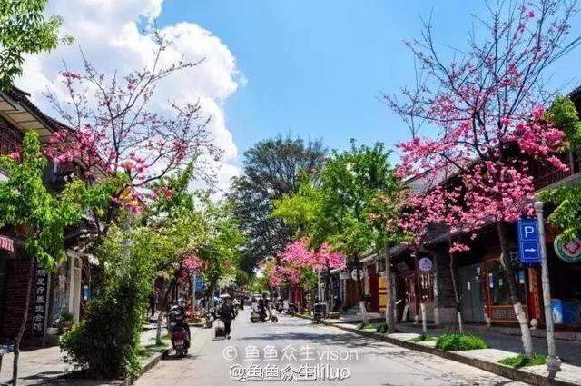 早上8点前的时光是大理旅行最好的时刻 只有温暖的阳光