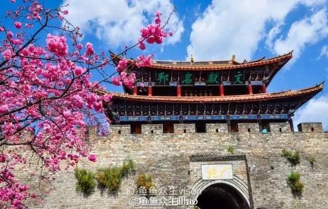 早上8点前的时光是大理旅行最好的时刻 只有温暖的阳光