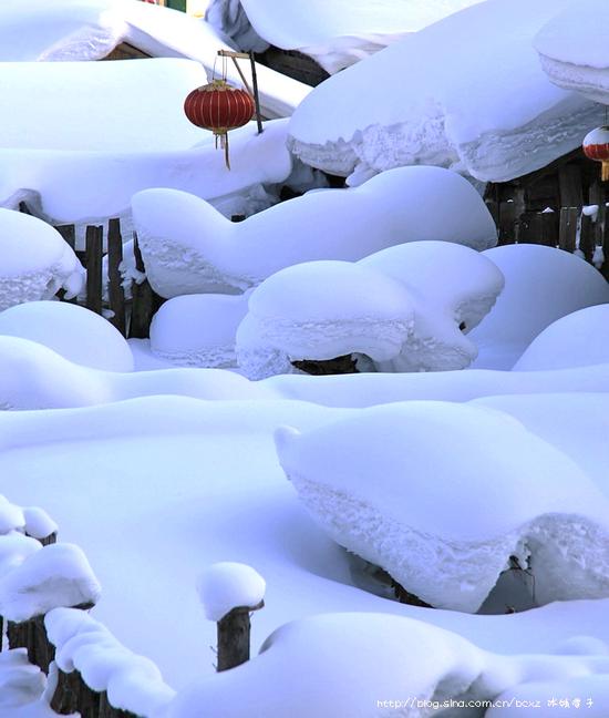 有一种雪,叫只有去过雪乡才懂得 有一种雪,叫只有去过雪乡才懂得