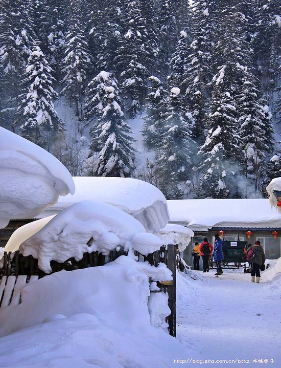 有一种雪,叫只有去过雪乡才懂得 有一种雪,叫只有去过雪乡才懂得