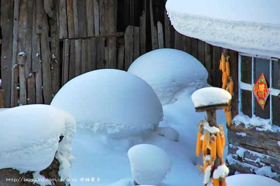 有一种雪,叫只有去过雪乡才懂得 有一种雪,叫只有去过雪乡才懂得