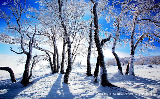 有一种雪,叫只有去过雪乡才懂得 有一种雪,叫只有去过雪乡才懂得