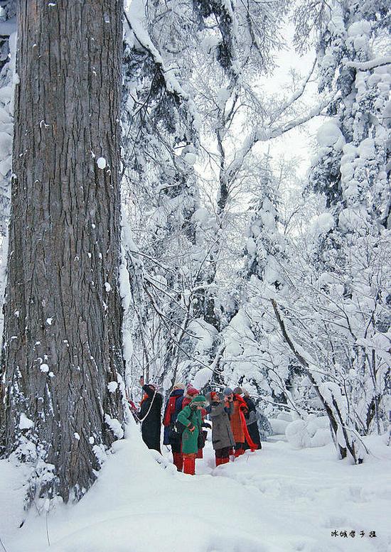 有一种雪,叫只有去过雪乡才懂得 有一种雪,叫只有去过雪乡才懂得