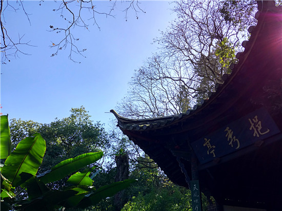 (通海秀山 摄影/王璐)