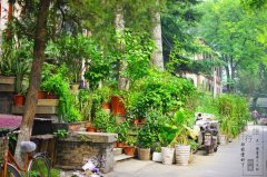 一条胡同徒步路线，串起古迹、顶级酒店和温馨小馆