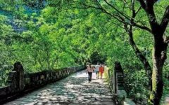 自驾綦江东溪 从传奇古镇到养生福地