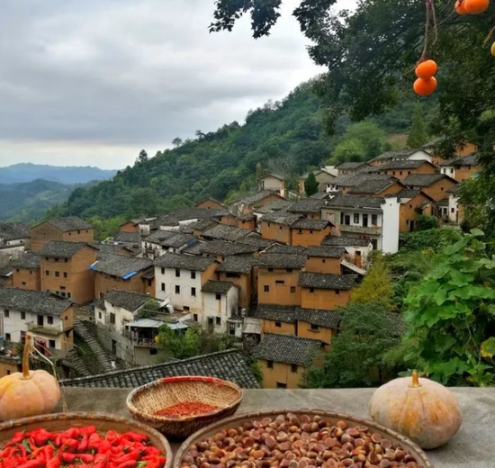 摄影：史永坤