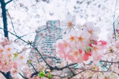 文艺小青年带你转角遇到爱