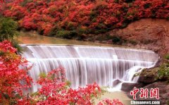 峭壁上红叶遍布，山间水流潺潺