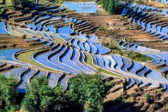 最美曲线|最全云南元阳梯田旅游攻略