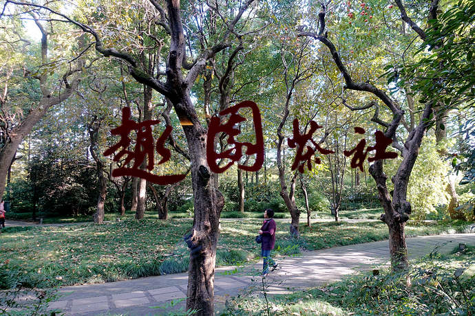 扬州慢生活,从热气氤氲的早茶开始