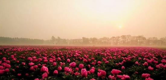 图源:亳州市文化旅游局