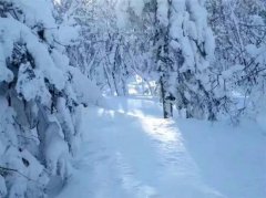 冬来，我们去雪乡
