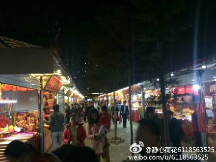 新浪博主：@静心荷花6118563525