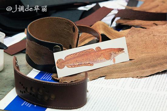 【芬兰】赫尔辛基:做一场冬日北欧童话梦
