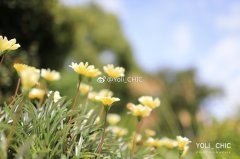 尾道「娓娓道来的文艺之城」