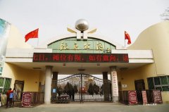 看一场有两千多年历史的斗鸡表演