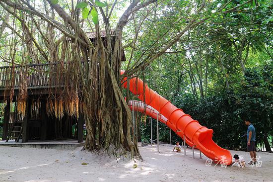 【<a data-cke-saved-href='http://travel.sina.com.cn/xinjiapo1-lvyou/?from=b-keyword' href='http://travel.sina.com.cn/xinjiapo1-lvyou/?from=b-keyword' target='_blank'>新加坡</a>】隐匿于百年植物园中的高颜值米其林餐厅