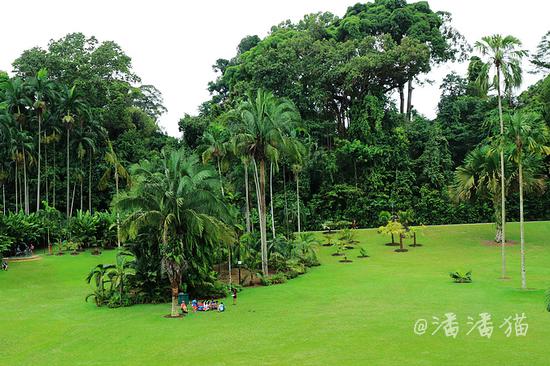 【<a data-cke-saved-href='http://travel.sina.com.cn/xinjiapo1-lvyou/?from=b-keyword' href='http://travel.sina.com.cn/xinjiapo1-lvyou/?from=b-keyword' target='_blank'>新加坡</a>】隐匿于百年植物园中的高颜值米其林餐厅