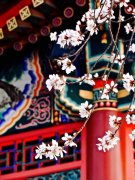 15张图让你爱上皇家范儿十足的颐和园