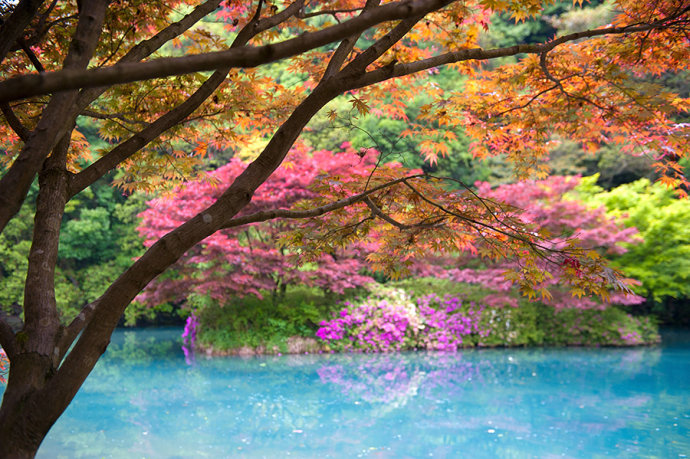 <a data-cke-saved-href='http://travel.sina.com.cn/hangzhou-lvyou/?from=b-keyword' href='http://travel.sina.com.cn/hangzhou-lvyou/?from=b-keyword' target='_blank'><em>杭州</em></a>有个江南小九寨,阳春三月竟如深秋般绚烂
