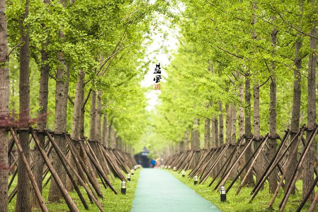 扬州宋夹城,美景人少空气好