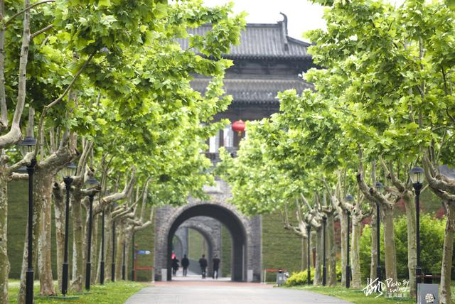 扬州宋夹城,美景人少空气好