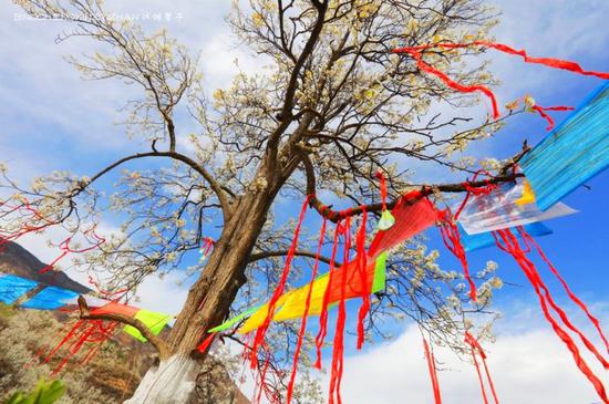 走近金川神秘的嘉绒藏戏、马尔锅庄民族风
